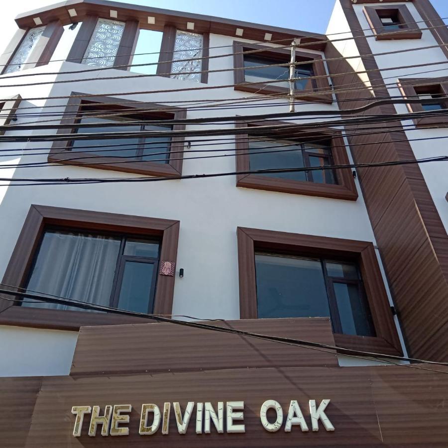 The Divine Oak Hotel Katra  Bagian luar foto